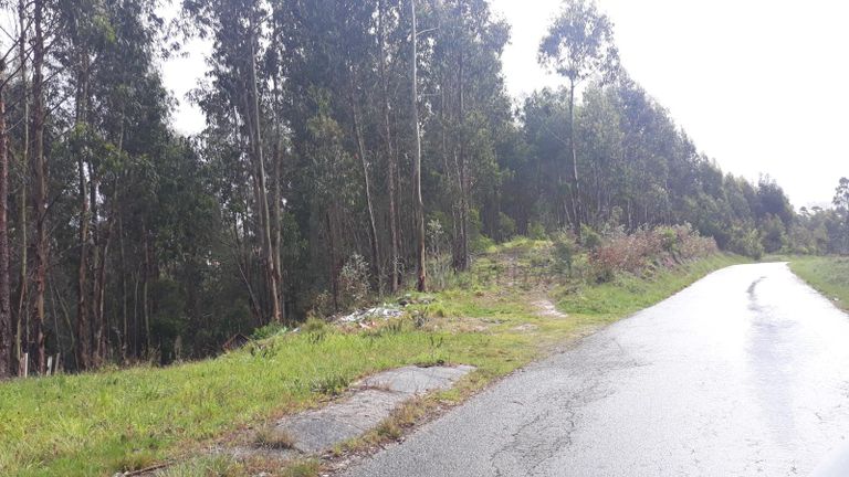 Moradia em Ruínas · Figueira da Foz