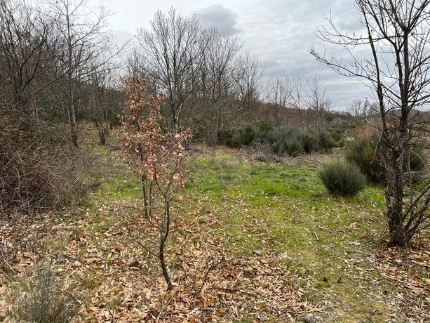 Terreno · Bragança