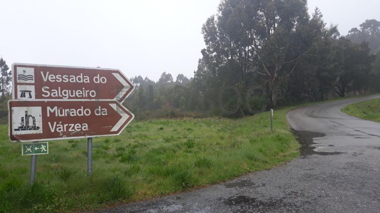 Proporção de 1/2 de Moradia V3 · Oliveira de Frades, Viseu