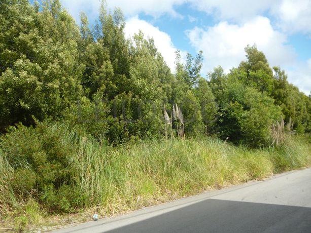 LEILÃO SUSPENSO · Terreno para Construção · Santa Maria da Feira