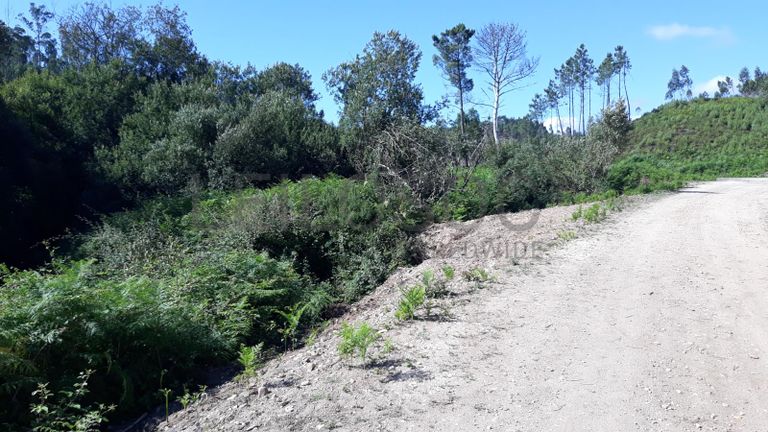 Quinhão Hereditário · Pombal