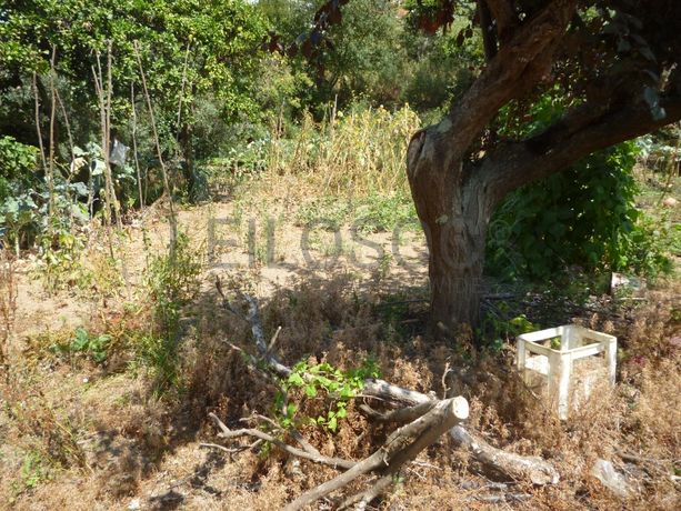 Meação de Quinhão Hereditário · Oliveira de Azeméis