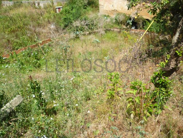 Meação de Quinhão Hereditário · Oliveira de Azeméis