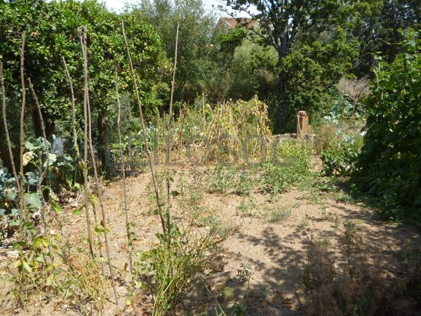 Meação de Quinhão Hereditário · Oliveira de Azeméis