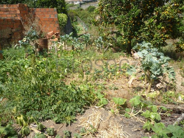 Meação de Quinhão Hereditário · Oliveira de Azeméis