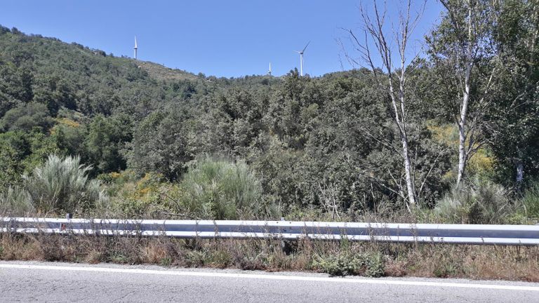 Quinhão Hereditário