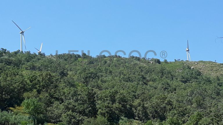 Quinhão Hereditário