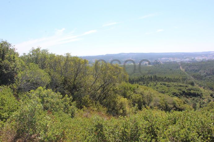 1/2 de Casa de arrecadação + Terreno · Rio Maior, Santarém