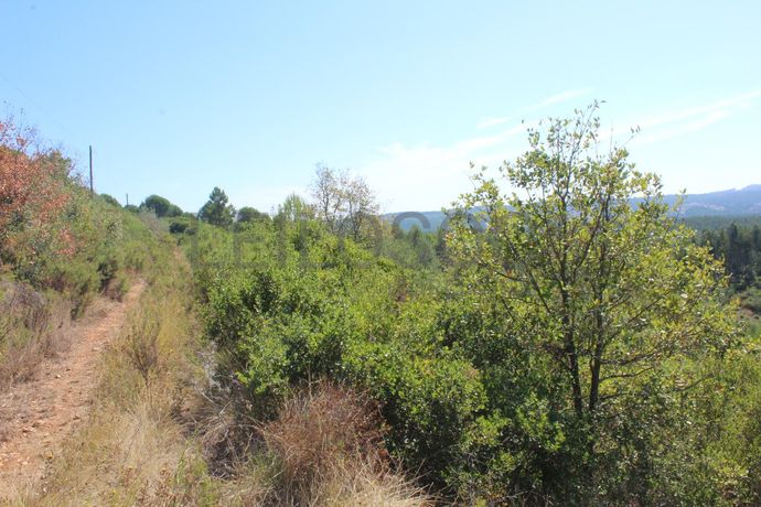 1/2 de Casa de arrecadação + Terreno · Rio Maior, Santarém