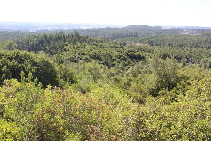 1/2 de Casa de arrecadação + Terreno · Rio Maior, Santarém