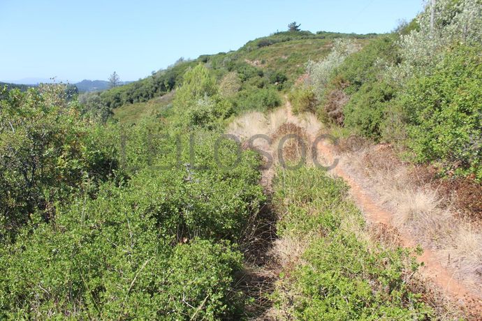 1/2 de Casa de arrecadação + Terreno · Rio Maior, Santarém