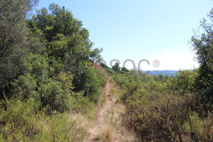 1/2 de Casa de arrecadação + Terreno · Rio Maior, Santarém