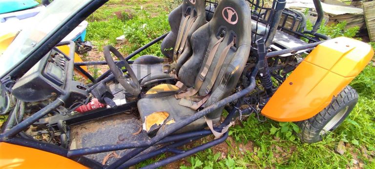 Buggy Renli RLG1-500 DZ