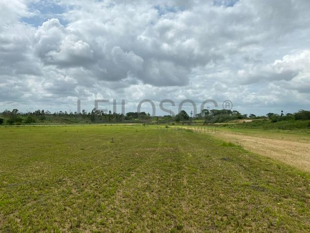 Prédios Rústicos - Luanda Leste