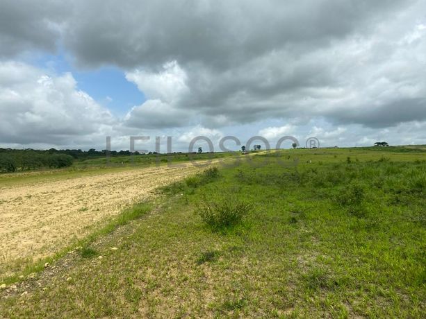 Prédios Rústicos - Luanda Leste