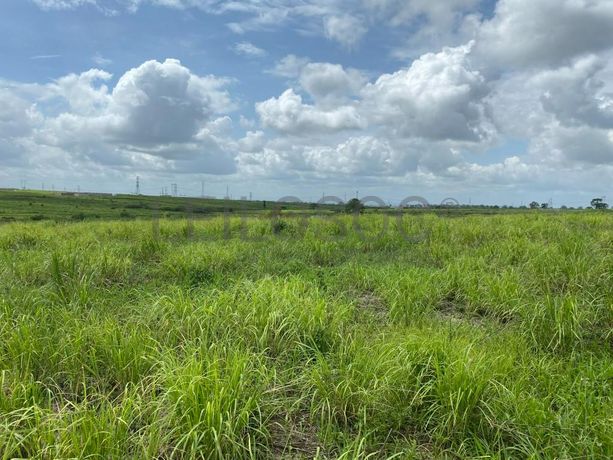 Prédios Rústicos - Luanda Leste