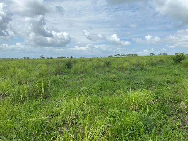 Prédios Rústicos - Luanda Leste