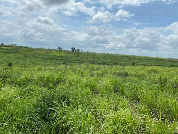 Prédios Rústicos - Luanda Leste