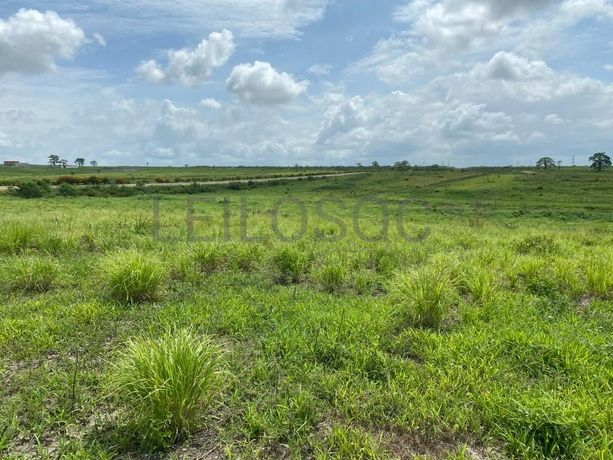 Prédios Rústicos - Luanda Leste