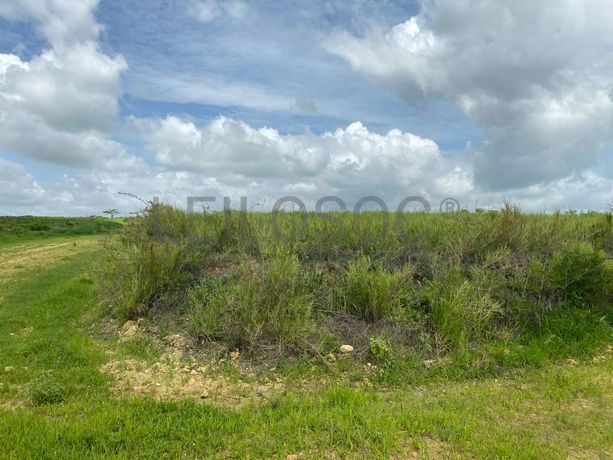 Prédios Rústicos - Luanda Leste