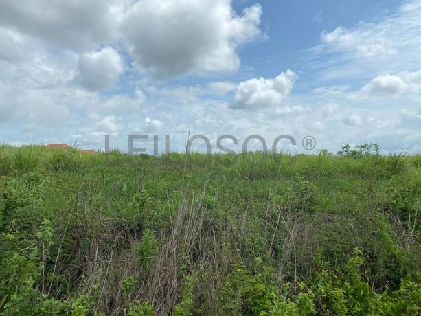 Prédios Rústicos - Luanda Leste