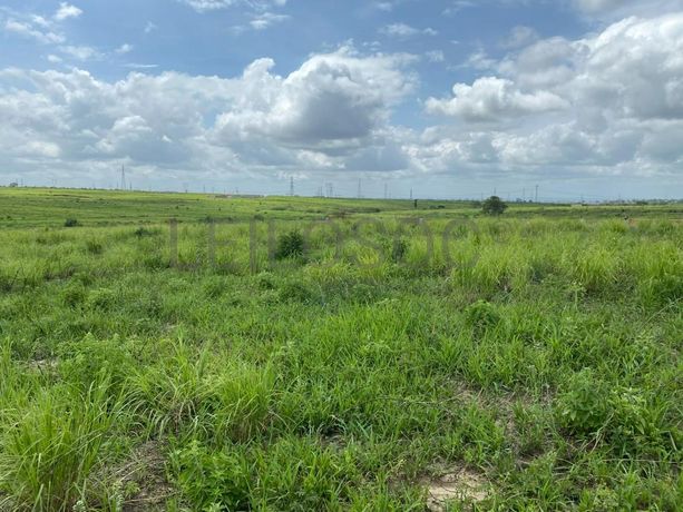 Prédios Rústicos - Luanda Leste