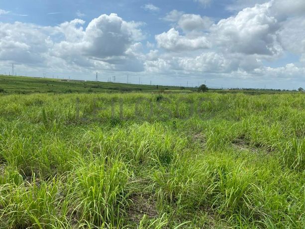 Prédios Rústicos - Luanda Leste