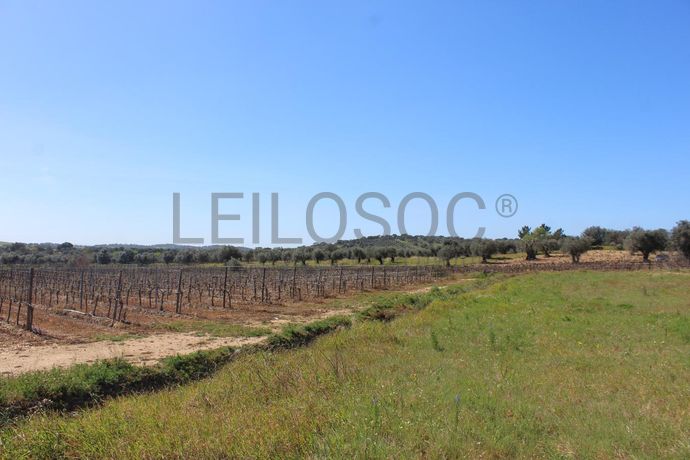 1/6 de Terreno · Cuba, Beja