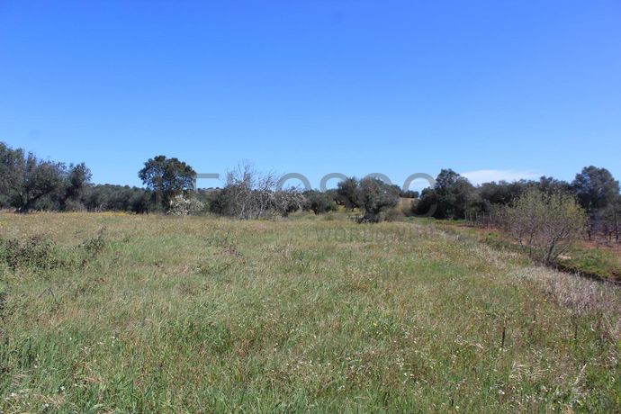 1/6 de Terreno · Cuba, Beja