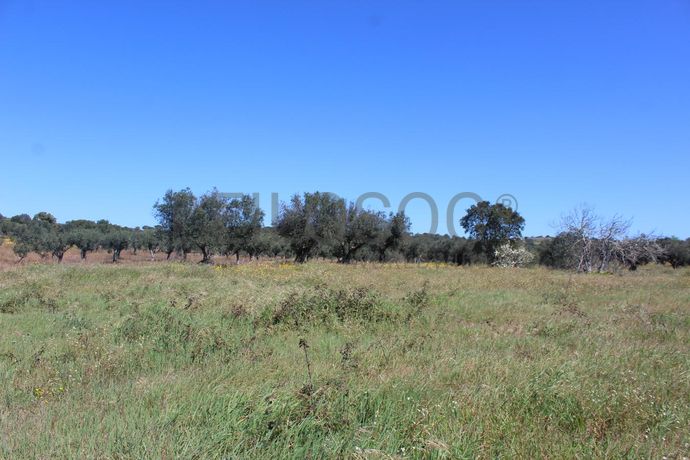 1/6 de Terreno · Cuba, Beja