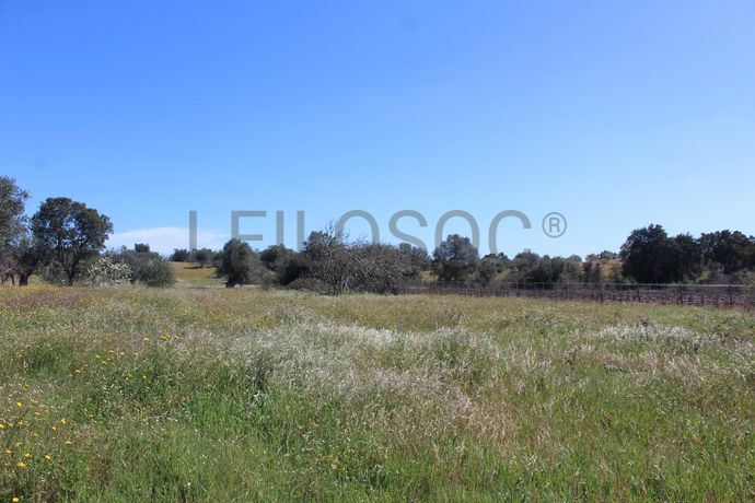 1/6 de Terreno · Cuba, Beja