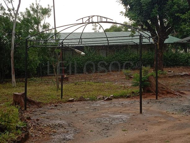 Esqueleto de alpendre ·