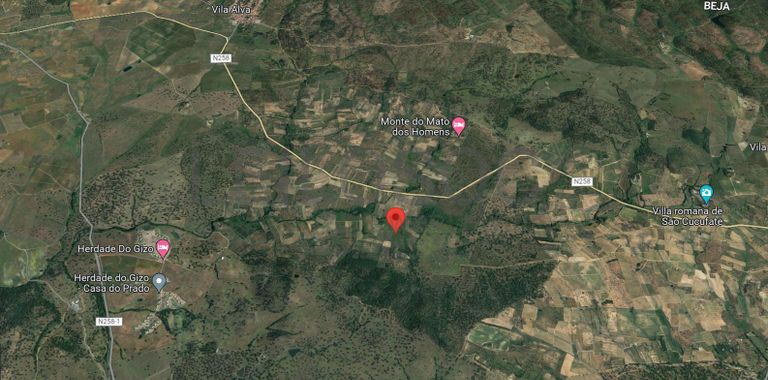 Vinha · Vidigueira, Beja