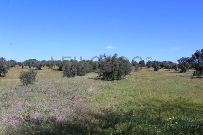 Terreno · Cuba, Beja