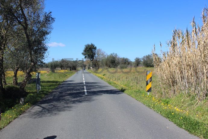 Terreno · Cuba, Beja