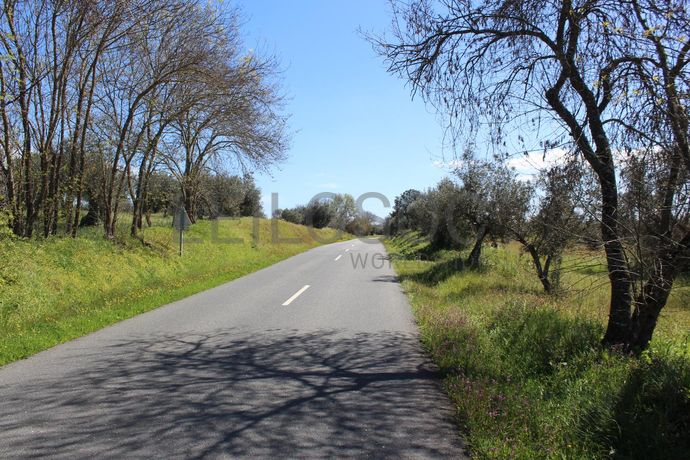 Terreno · Cuba, Beja