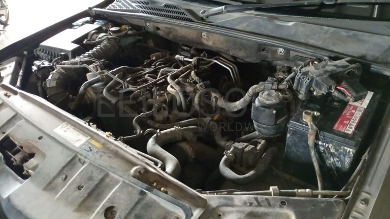 Volkswagen Amarok ·