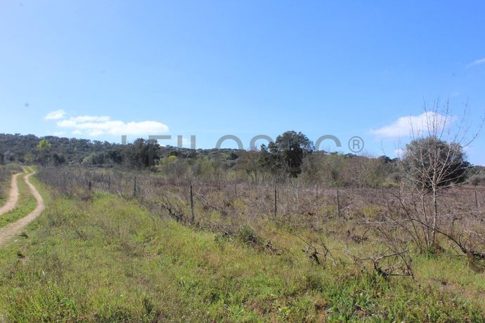 Terrenos · Cuba, Beja