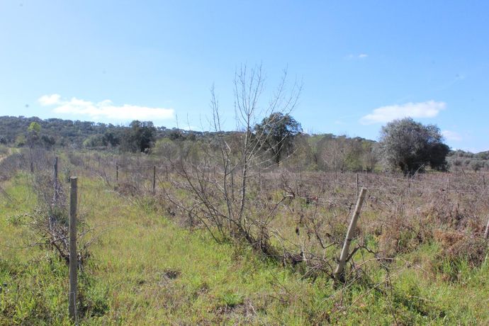 Terrenos · Cuba, Beja