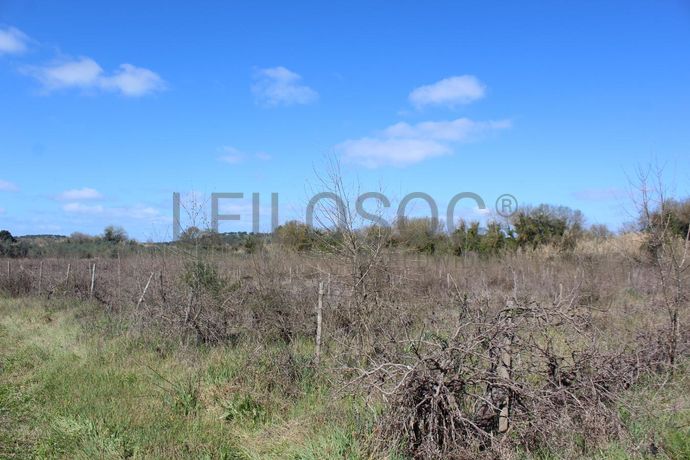 Terrenos · Cuba, Beja