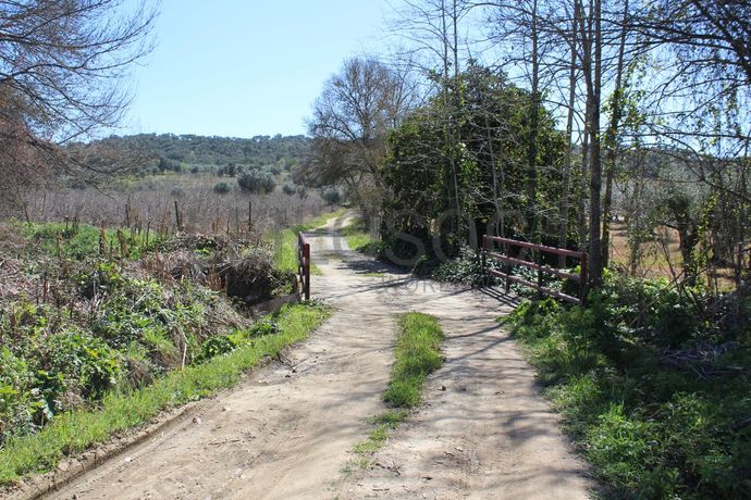 Terrenos · Cuba, Beja