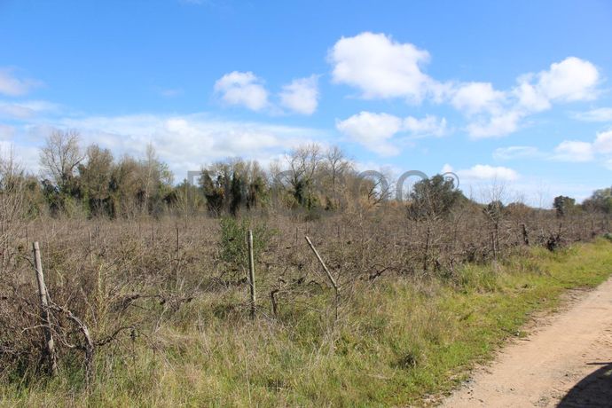 Terrenos · Cuba, Beja