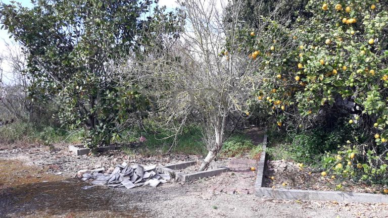 Moradia V3 com Logradouro· Rio Maior