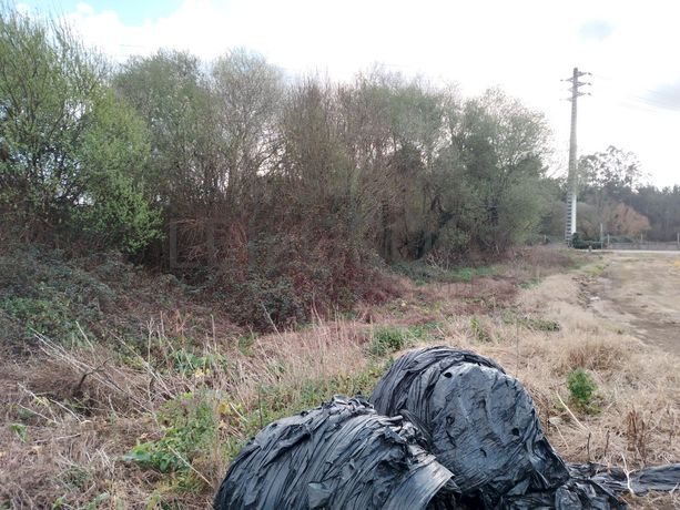 Terreno · Vila do Conde