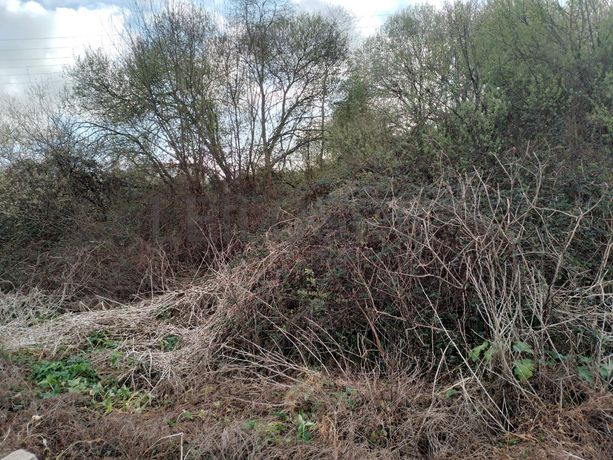 Terreno · Vila do Conde