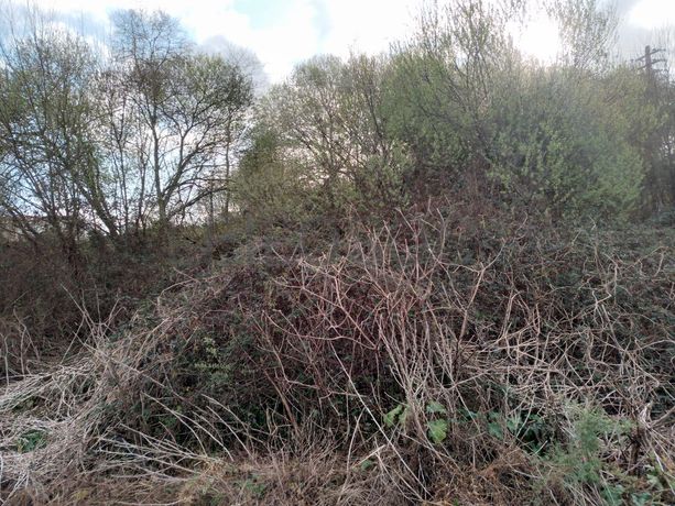 Terreno · Vila do Conde