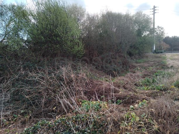 Terreno · Vila do Conde