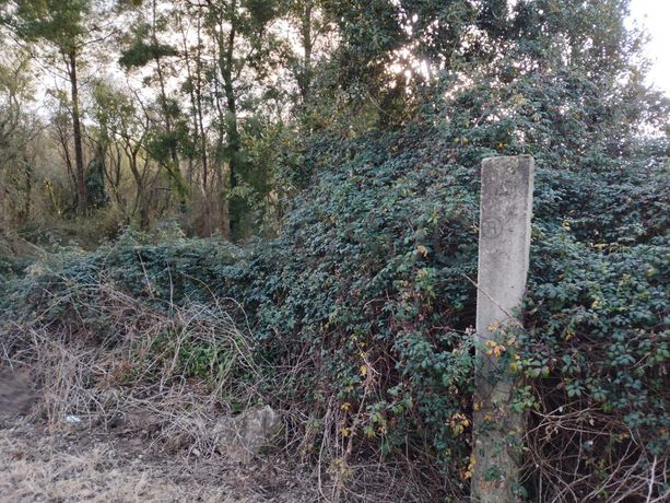 Terreno · Vila do Conde