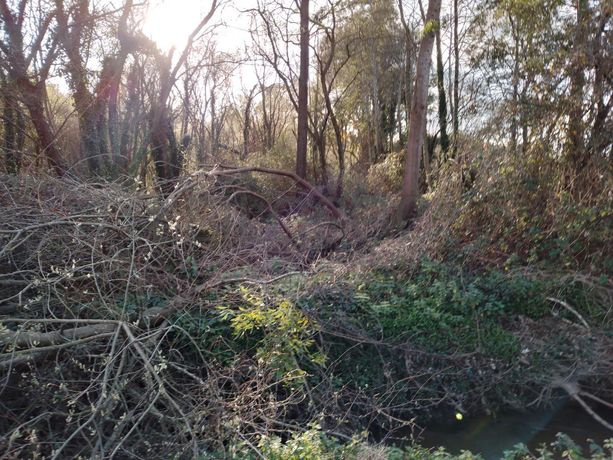 Terreno · Vila do Conde