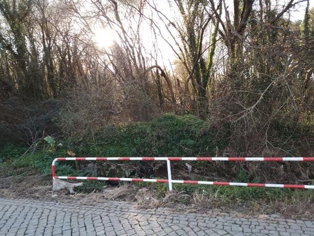 Terreno · Vila do Conde